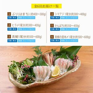 【北海道・離島配送不可】＜定期便・全6回(連続)＞旬の鮮魚(6ヶ月コース)お刺身 海鮮 【UZ-10】【請関水産】