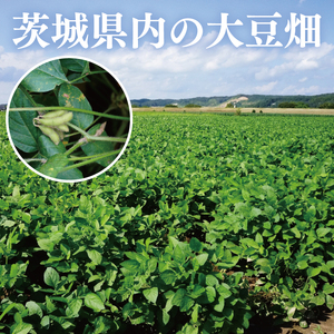 TVで紹介！あの男性アイドルが試食した納豆！！水戸 だるまわら納豆（茨城県産大豆）セット(AS-4)