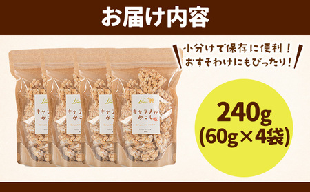 キャラメルおこし 240g(60g×4袋)  乾濃屋《30日以内に出荷予定(土日祝除く)》福岡県 鞍手町 ポン菓子 キャラメル おこし お菓子 スイーツ 送料無料 