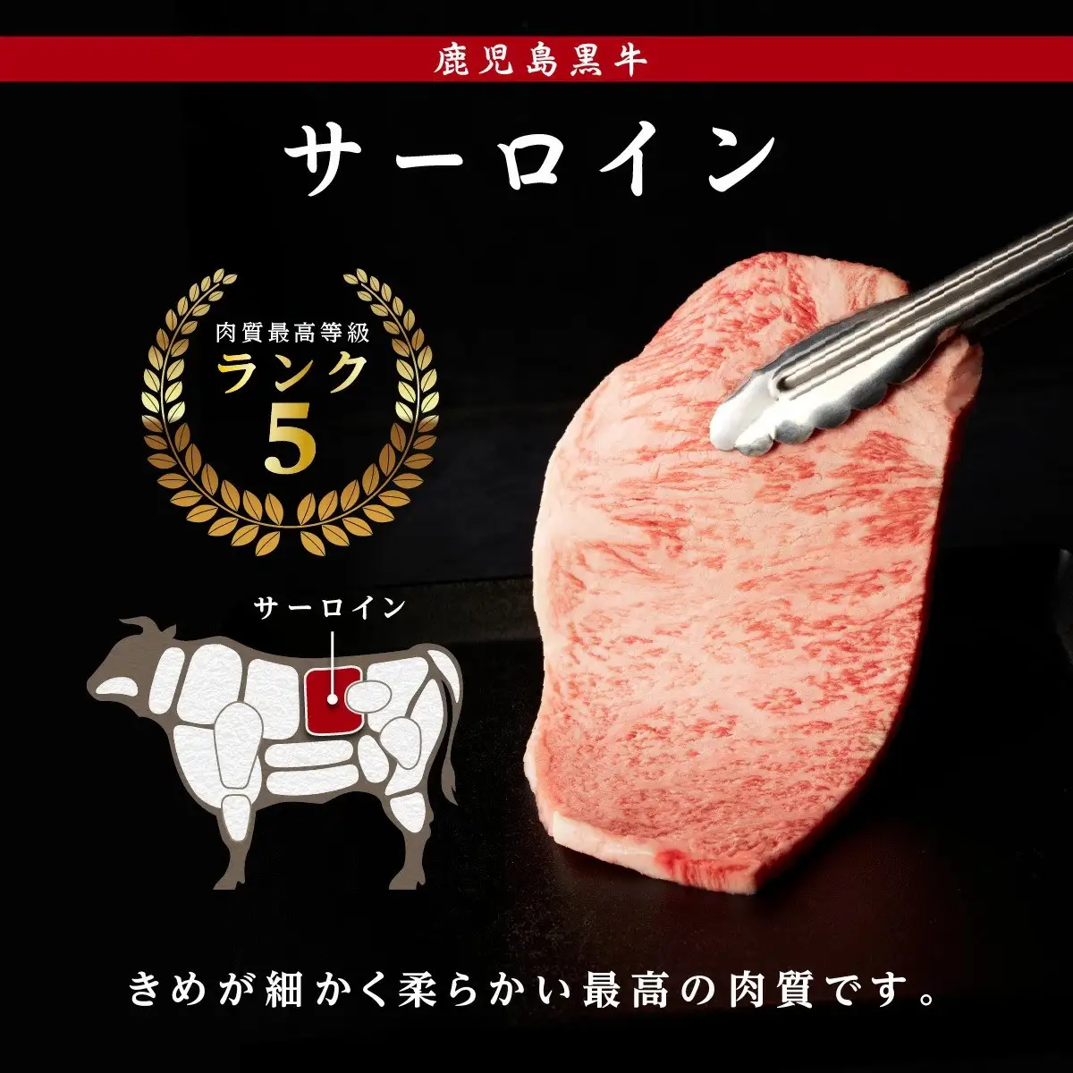 鹿児島黒牛サーロインステーキ（1枚）・すきやきセット（800g）（H-701）