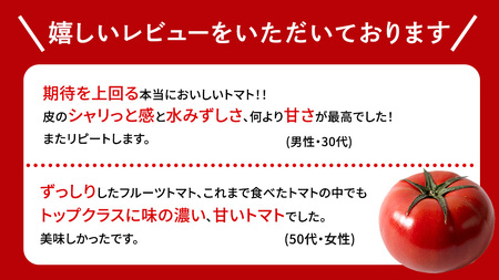 【母の日専用】 スーパーフルーツトマト 大箱 約2.6kg ×1箱 糖度9度以上 《5月4日～10日お届け メッセージカード付》 [BC066sa]