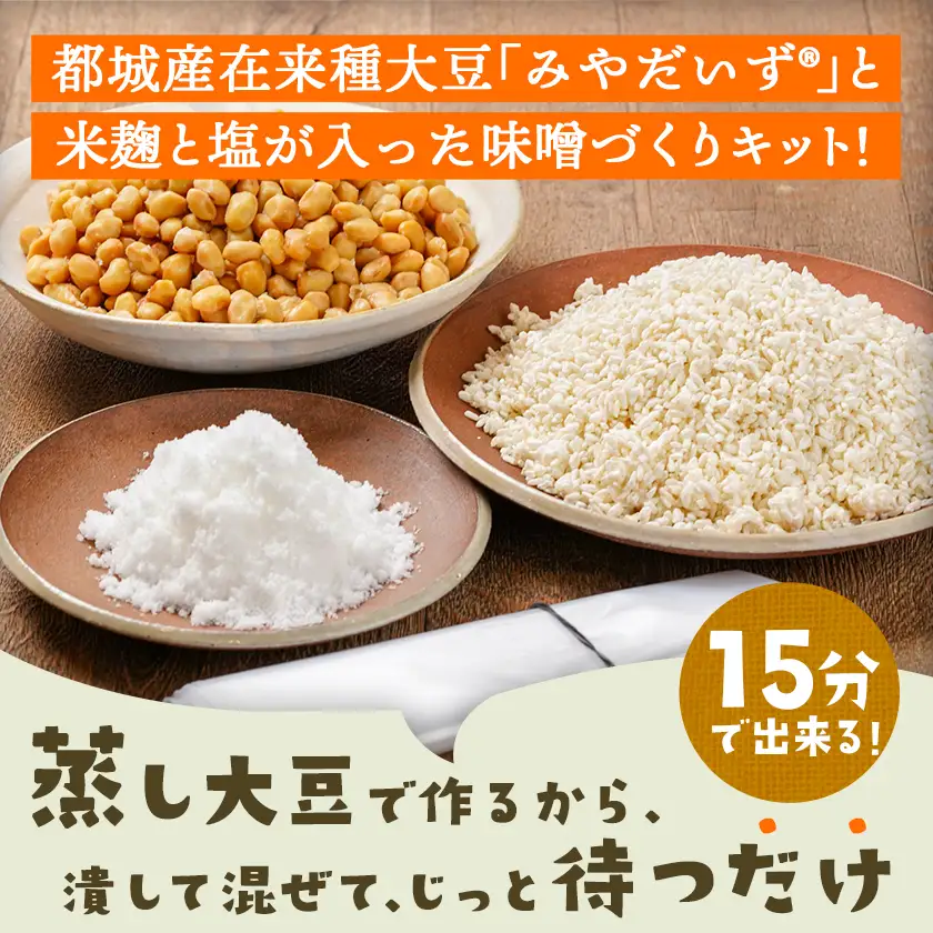 お家で簡単!味噌づくりキット【米味噌】〔AA-G801〕_(都城市) 味噌づくりキット 米味噌 蒸し大豆 米麹 塩 塩分濃度約11％