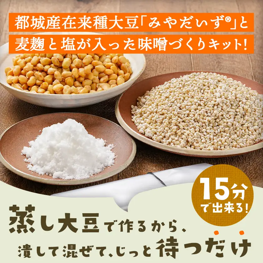 お家で簡単!味噌づくりキット【麦味噌】〔AA-G802〕_(都城市) 味噌づくりキット 麦味噌 蒸し大豆 麦麹 塩 塩分濃度約11％