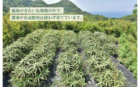 AS-109 ヒラミネの木立甘酢 酢 お酢 ビネガーアロエ酢
