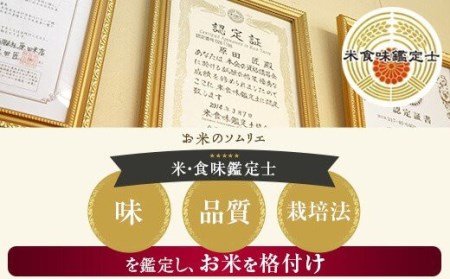 鹿児島県産あきほなみ 薩摩エース お米マイスター厳選 特A 5㎏×2袋（10kg）お米 精米 DS-309