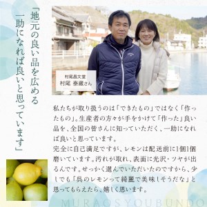 国産檸檬（レモン）発祥の地 大長檸檬 生レモンしぼり 24本セット 100％ 爽やか 香り まろやか 料理のアレンジにも ku012-003-r