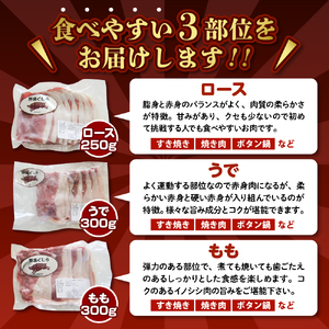 「野呂くじら」いのしし肉 3パックセット（計850g）鍋用 牡丹肉 ぼたん鍋 いのしし汁 猪肉 ジビエ ロース うで もも 詰め合わせ 広島県 呉市 ku049-001-r