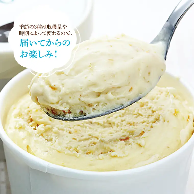 益子町 無添加アイスクリーム おまかせ10個 AB002