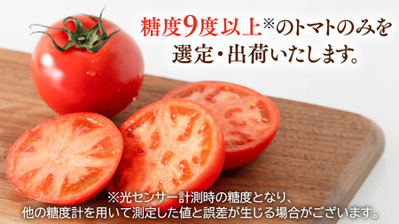 糖度9度以上 スーパーフルーツトマト てるて姫 小箱 約800g × 1箱 【7～13玉/1箱】  [BC065sa]