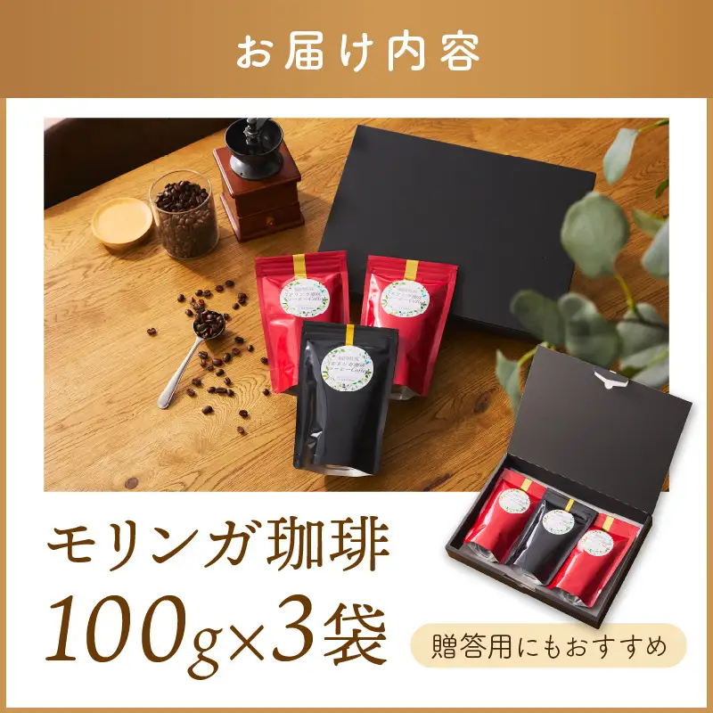 福岡県産モリンガ珈琲【A5-436】