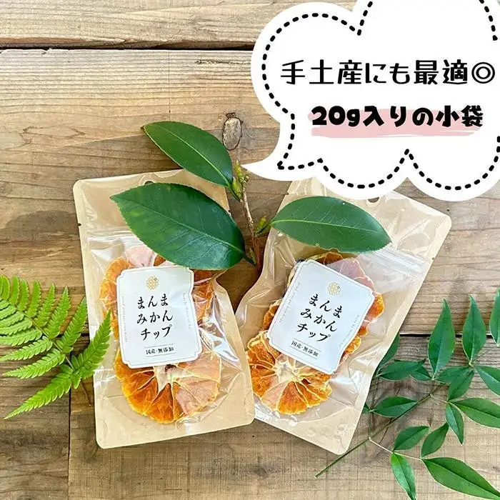 ドライフルーツ みかんチップ 400g ( 20g × 20袋 ) 和歌山県産 果物使用 自社製造 【みかんの会】