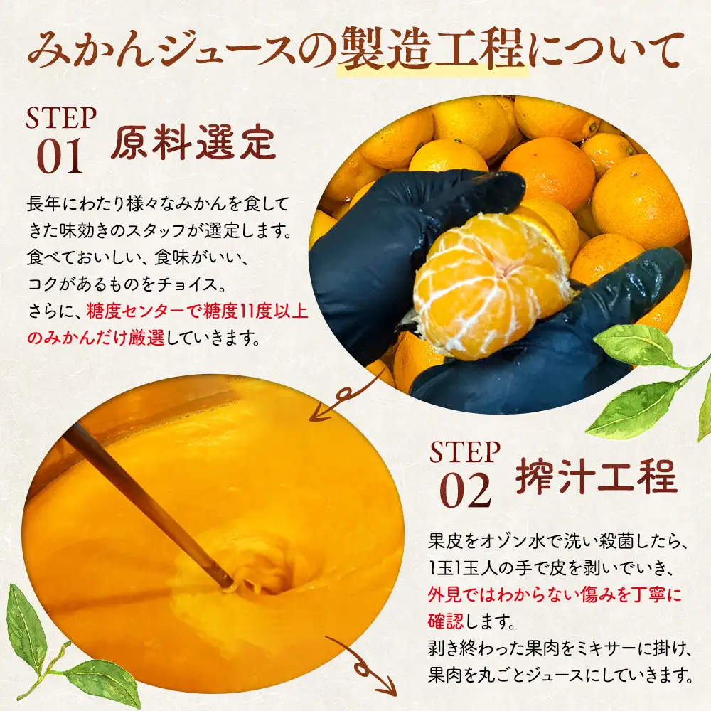 有田のみかんジュース 500ml×12本  和歌山県産 有田みかん使用 無添加 100％ ストレート