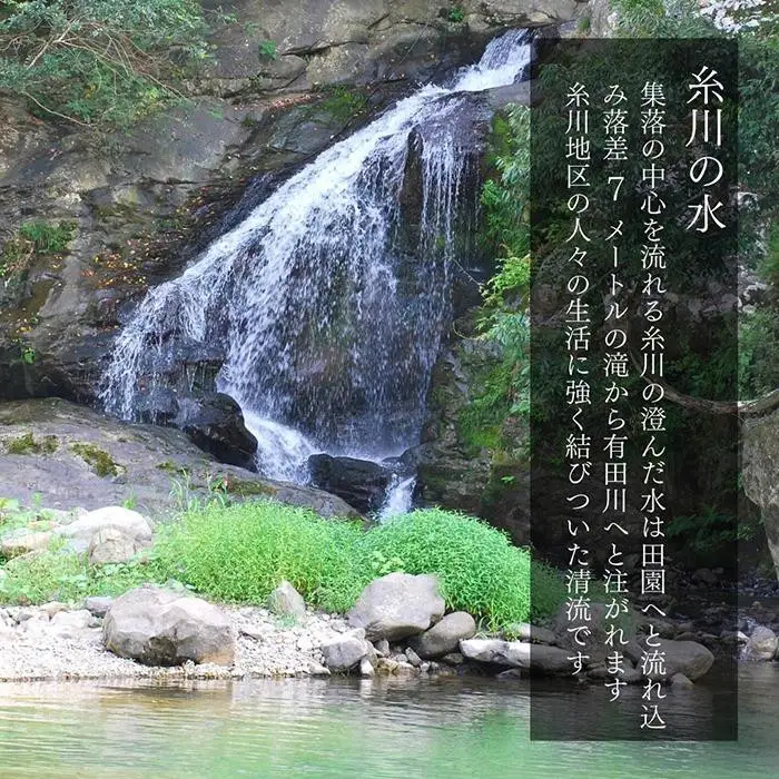 お米 5kg 思いを繋ぐ糸川のお米 結意米 【ゆいまい】和歌山県産 【みかんの会】