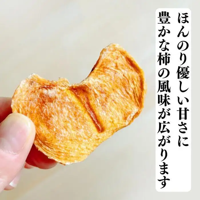 ドライフルーツ 柿チップ 200g ( 40g × 5袋 ) 和歌山県産 果物使用 自社製造 【みかんの会】