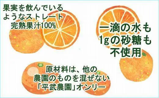 無添加100％みかんジュース2本セット【平武農園】～蛍飛ぶ町から旬の便り～