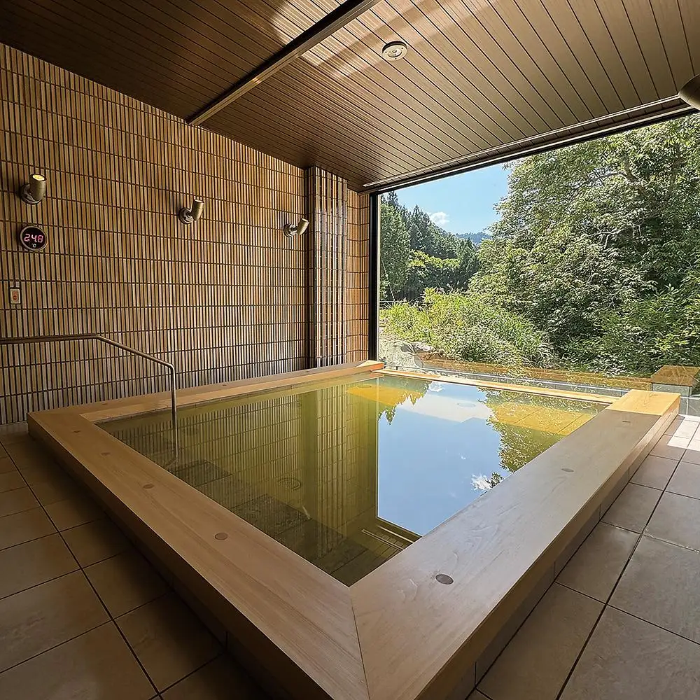 歴史ロマンの湯 しみず温泉 大人 入館券 11回分 入浴チケット 温泉利用券 観光 日帰り