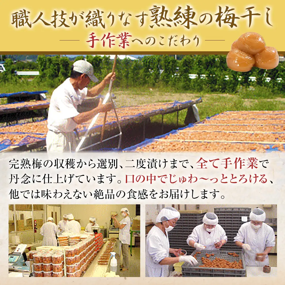 梅干し 猿梅 はちみつ梅 塩分8％ 500g