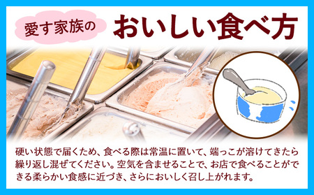 ひまわりの種ジェラート 15個セット　アイス