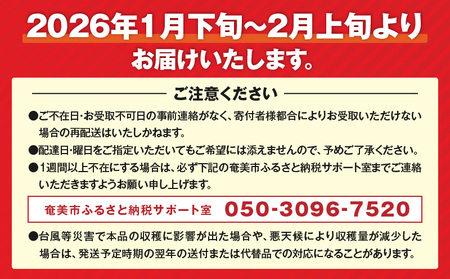 【 2026年先行予約 】奄美 の 島らっきょう 1kg A139-002 らっきょう 先行予約 先行受付 先行 予約 おつまみ 天ぷら 奄美産 野菜 POKAPUKA ふるさと納税 奄美市 おすすめ ランキング プレゼント ギフト