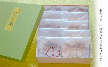 【老舗和菓子店 武蔵屋総本店】はまぐり焼 (菓子) 10個セット 化粧箱入り | お菓子 菓子 おかし 和菓子 焼き菓子 小豆 つぶあん 刻み栗入り どら焼き どらやき 詰め合わせ セット スイーツ デザート おやつ あんこ 大分県 中津市