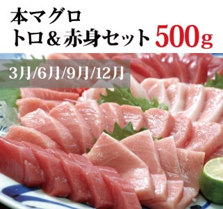 【3か月定期便】まんぞく定期便！うなぎ･高級和牛･マグロ　人気返礼品を3回お届け♪【tkb104】