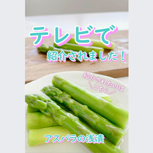 【2026年4月～9月お届け】季節限定　春夏おすすめ漬物７品セット