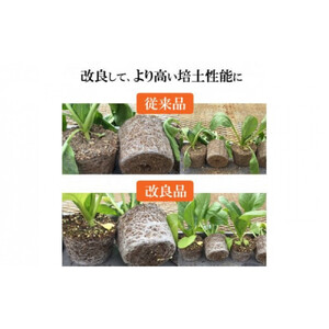 【播種・移植用培養土】種まき培土30L×2袋セット