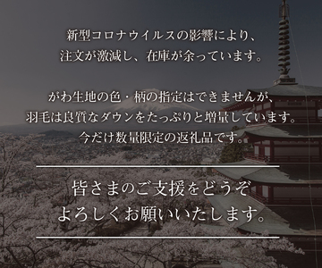 布団【訳あり/ 寒色】甲州羽毛ふとん 本掛け布団（シングル）ダウン85％