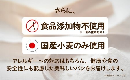 卵・乳アレルギー対応 学校給食パンセット（全10種類） 学校給食パン
