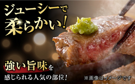 佐賀牛 サーロインステーキ 500g 黒毛和牛ステーキ[FDB010]