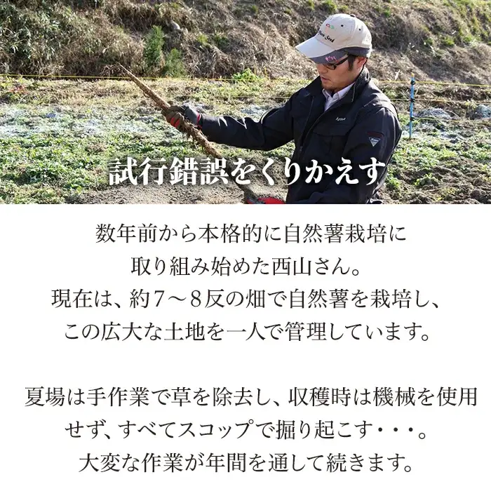 Agrimottoの「自然薯」１kg