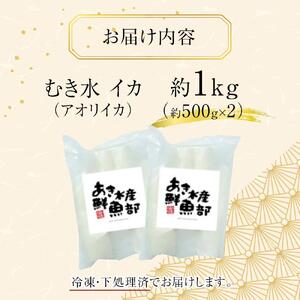 アオリイカ 約1kg 下処理済 冷凍 小分け イカ
