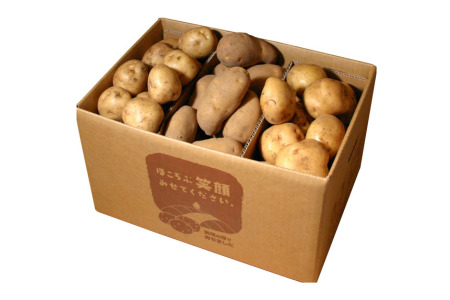 じゃがいも【令和８年産予約受付！】 じゃがいも 3種セット 男爵 キタアカリ メークイン 北海道   [011-61]