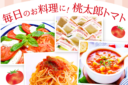 A-991 [秋作]朝採れトマト4㎏(20玉前後)