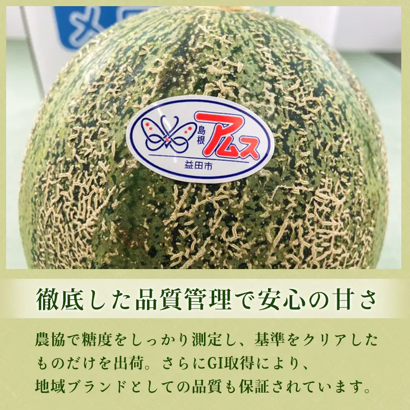 A-546 今年もおいしい『アムスメロン2玉』