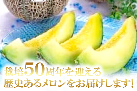 A-169 益田産アムスメロン　特大5Lサイズ（3玉入り）