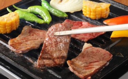 宮崎牛 肩(ウデ) 焼肉500g_K18_0017_8