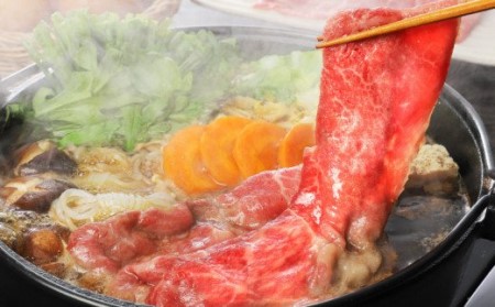 宮崎牛 モモ スライス500g_K18_0018_8