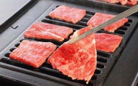 宮崎牛 モモ 焼肉500g _K18_0019_8