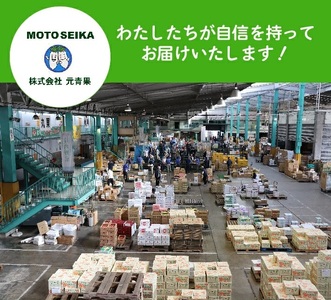 SA2930　庄内砂丘 『アンデスメロン』　約5kg(青肉/3～5玉入)