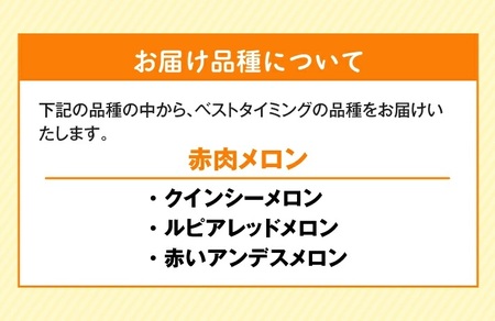 SA2931　庄内砂丘 『赤肉メロン』　約5kg(3～4玉入) 品種おまかせ