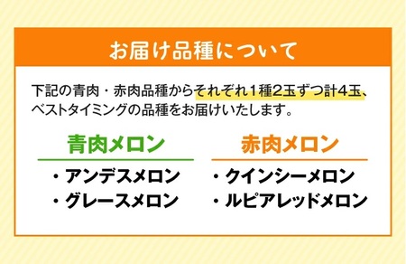 SA2932　庄内砂丘 『青肉・赤肉メロン』セット　約5kg 計4玉(各2玉入) 品種おまかせ