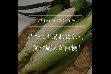 南部町産 朝採れスイートコーン5kg箱 食べくらべセット（バイカラー種・ホワイト種）2026年収穫分＜数量限定＞
