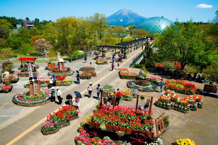 とっとり花回廊ギフト入園券２枚