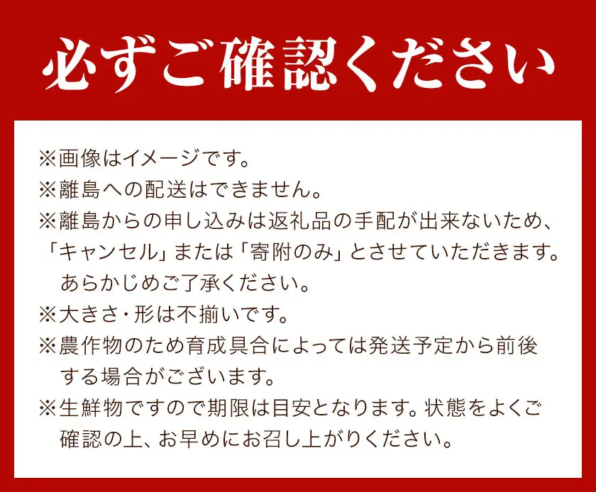 【先行予約】栗原果樹園 梨 5kg  恵水 《9月上旬-9月下旬頃出荷予定》茨城県 結城市 なし 梨 フルーツ 旬 果物 【配送不可地域あり】(離島)