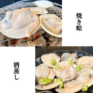 大粒!天然はまぐり(特特大サイズ)170g前後×10個入り 個包装 岬だより