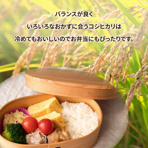 令和7年産 特A※評価地区 筑波山麓ホタルの里厳選米コシヒカリ15kg　透き通った大粒米※離島への配送不可