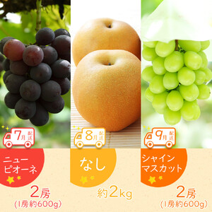 【全12回】坂出市四季のオススメ！旬果実単品定期便♪