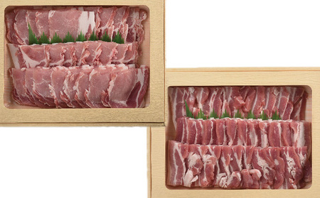 ブランドポーク「匠のこころ豚」リブロース・バラ　1.2kg（各600g）焼肉セット【◎安全・安心　JGAP・農場HACCP認証取得】 お肉 豚肉 バーベキュー 