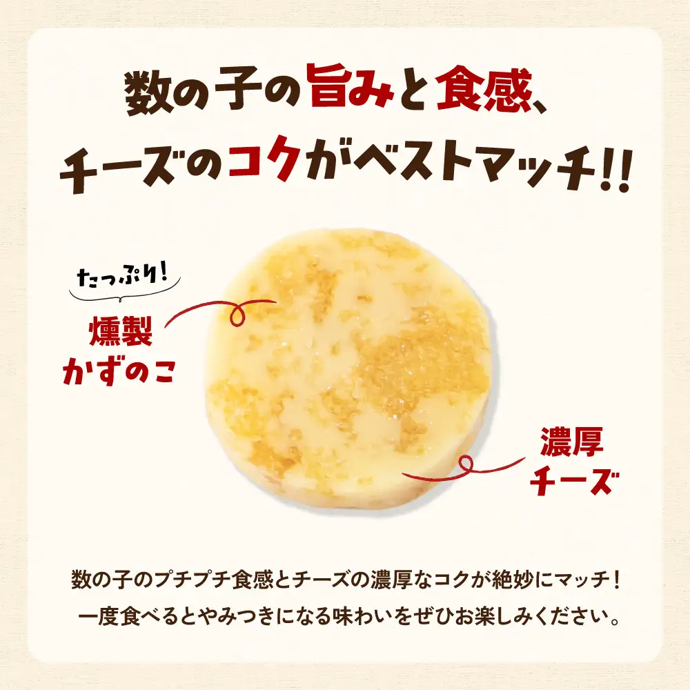 【井原水産】無選別品 訳あり カズチー100g×3パック R003-024